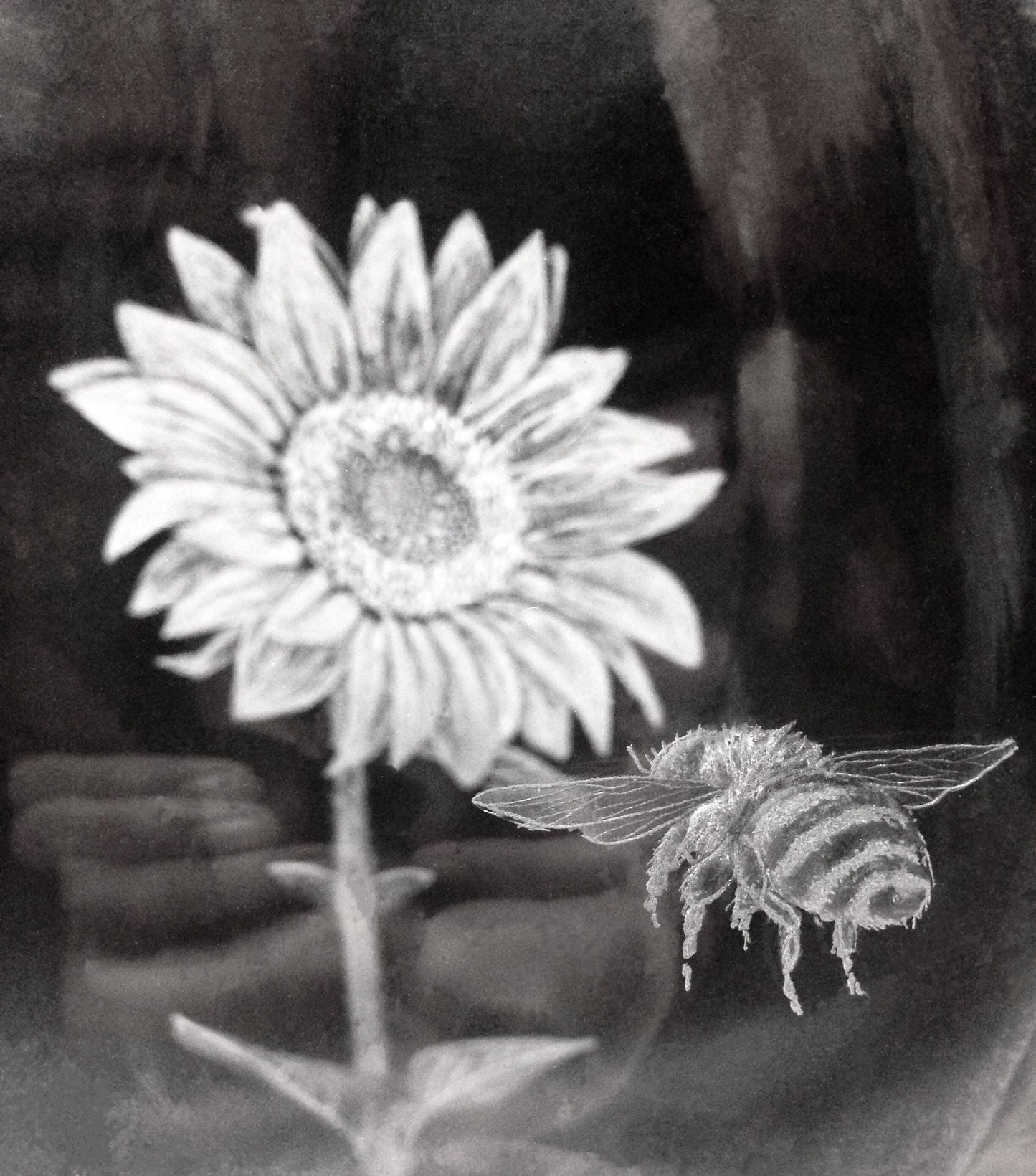Hand Engraved Sunflower and Bee Vase - Unique Flower and Bee Gift