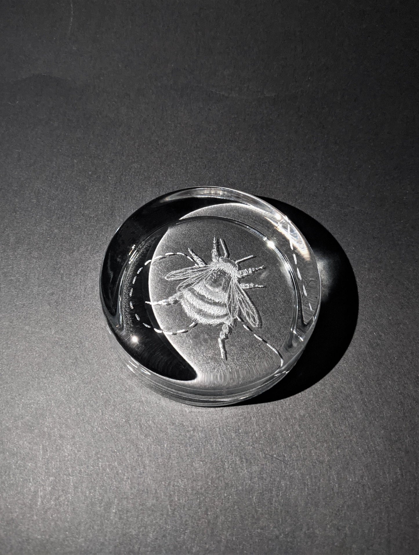 Engraved Bee Paperweight  -  Bumble Bee Gifts