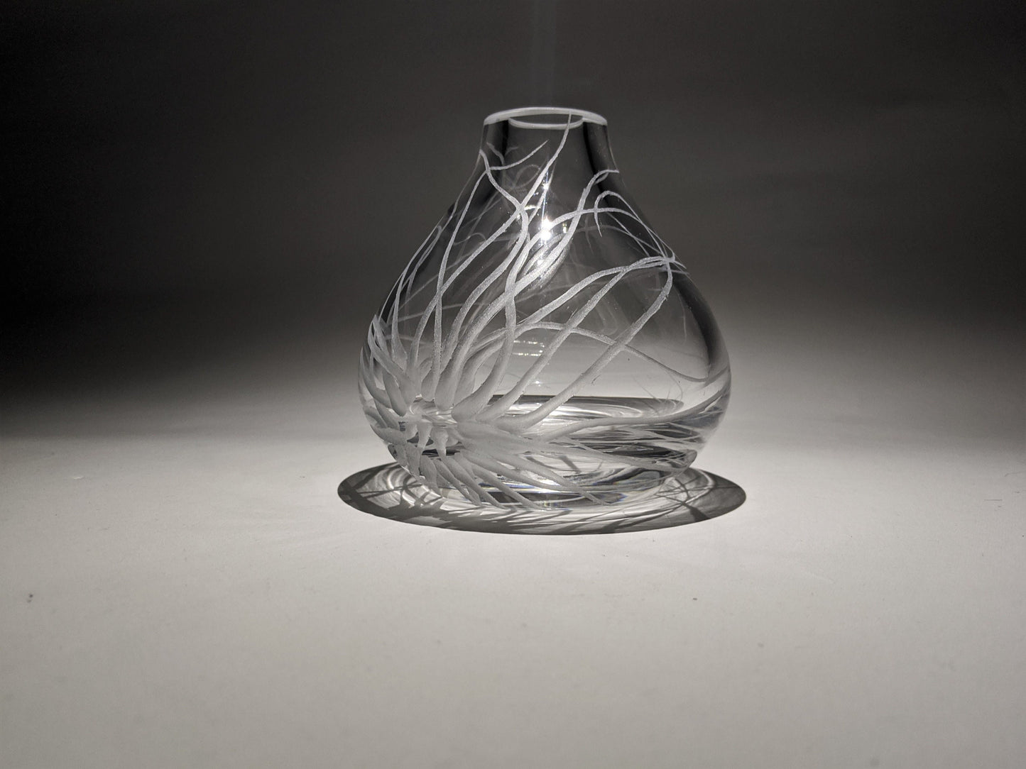 Hand Engraved Sea Anemone Vase - Ocean Themed Glass Gift