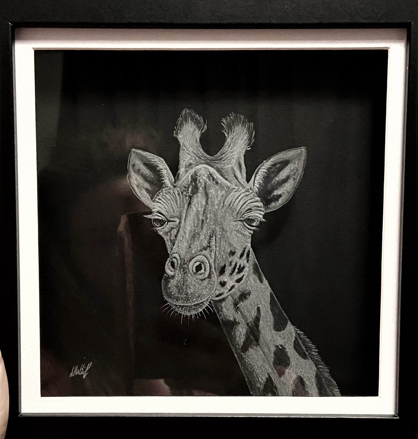 Engraved Giraffe Artwork - Giraffe Gift