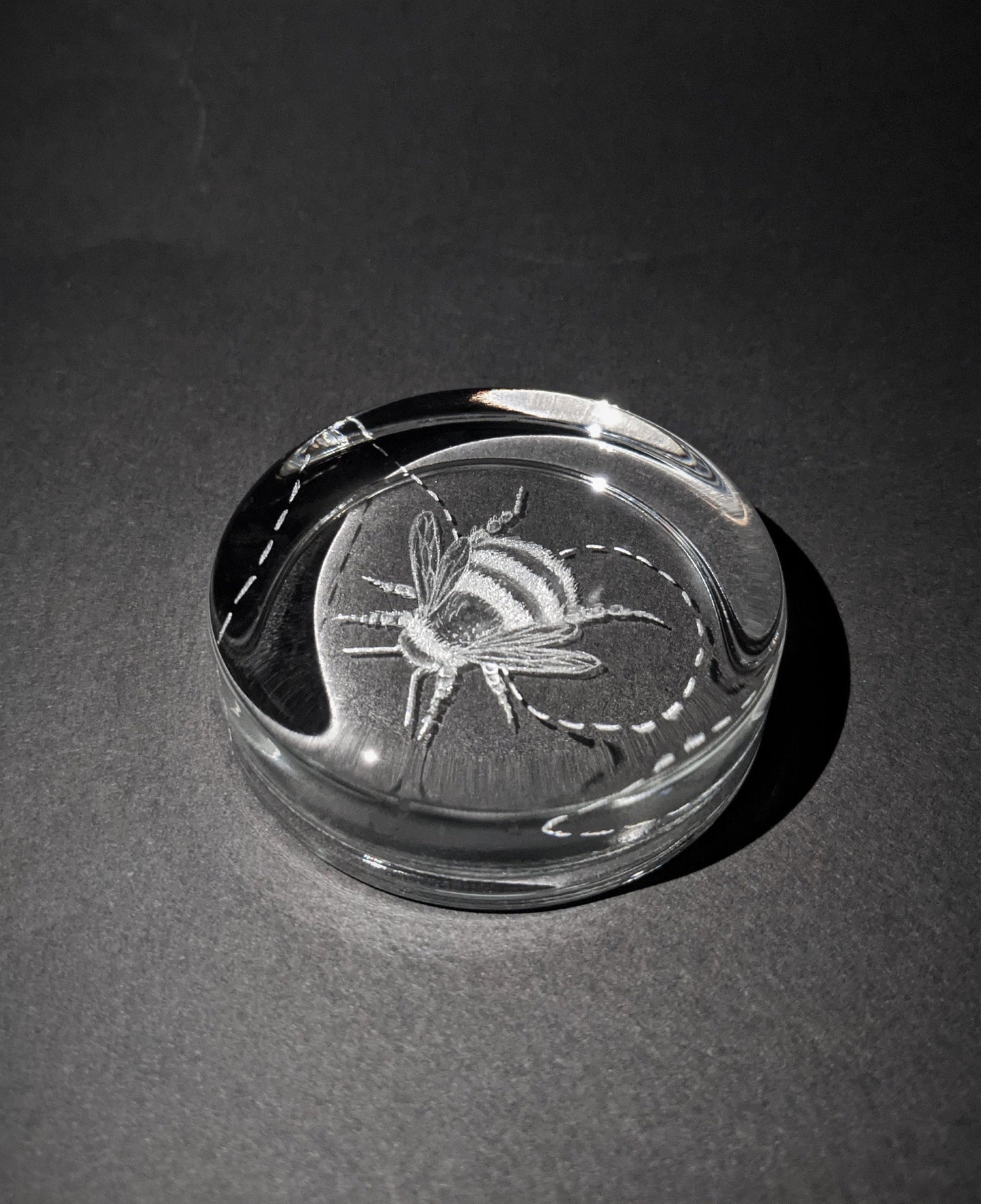 Engraved Bee Paperweight  -  Bumble Bee Gifts
