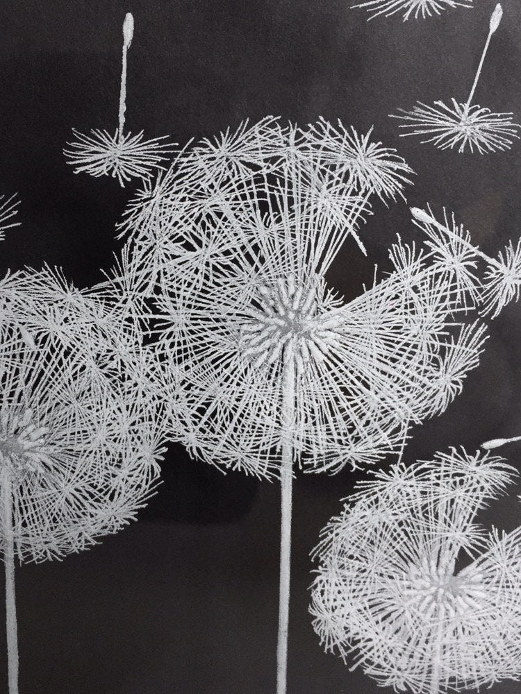 Dandelion Blowing In The Wind - Dandelion Seeds - Engraved Dandelion Picture