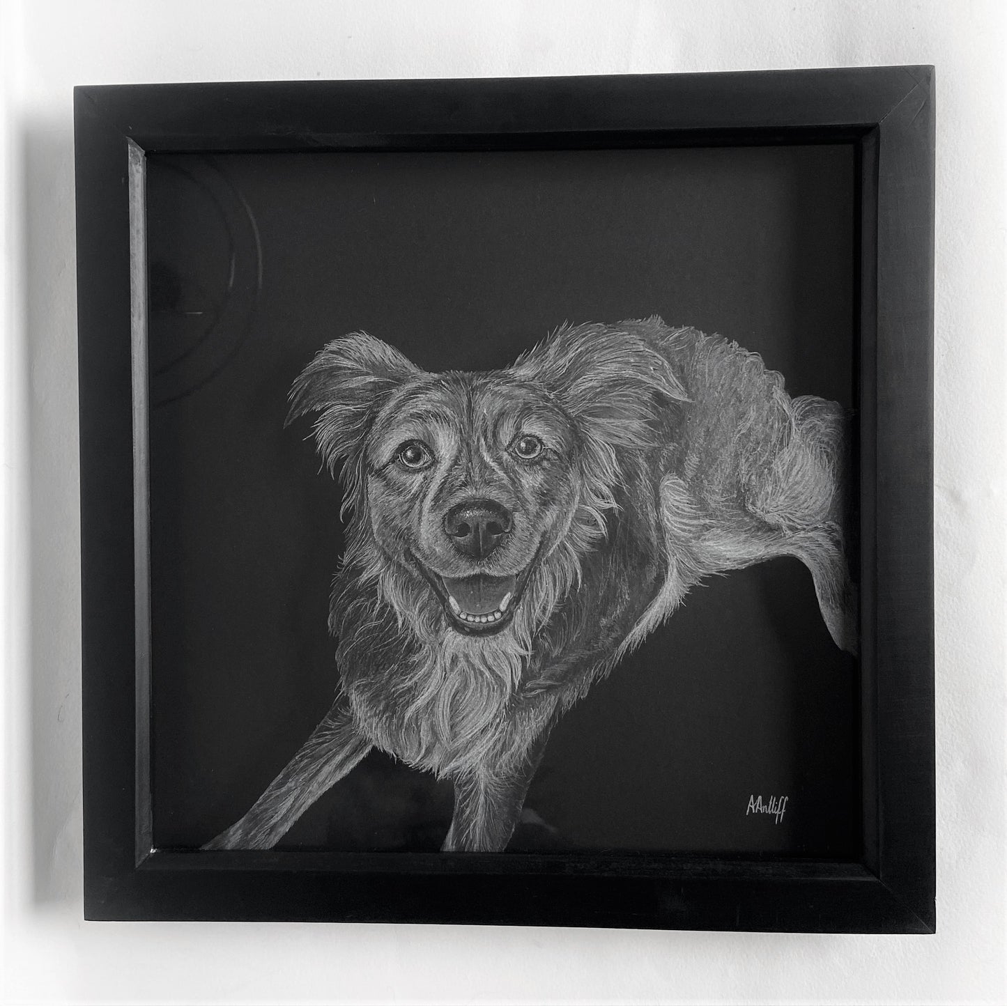 Custom Pet Portrait - Your Pet Hand Engraved on a Frame
